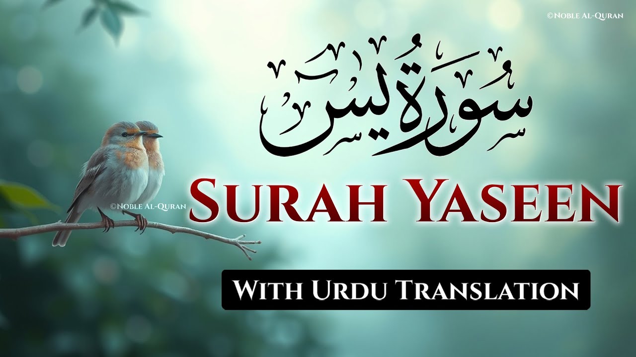 Surah Yaseen With Urdu Translation Full By Qari Mohamed Samir | Urdu And Hindi Tarjuma