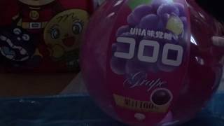 株式会社ドウシシャ ビーチボール 「コロロ」グレープサイズ：５０cm　品番：UHA20DCBEA