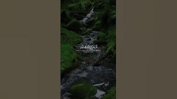 راحة نفسية🌿🤍حالات واتس اب قران - إسلام صبحي//آيات قرانية قصيرة//ستوريات انستقرام#بدون_حقوق💙