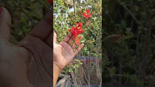 " Real life/ Real Vlog/Real me 💕" #dailyvlog #minivlog #trending #youtubeshorts #shortvideo