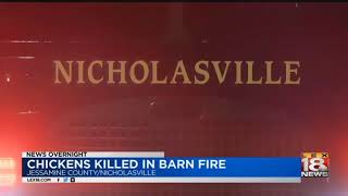 Chickens Killed in Barn Fire
