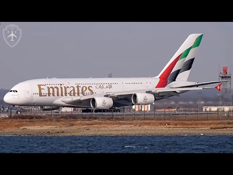 LIVE NEW YORK (JFK) AIRPORT ACTION | WINTER PLANESPOTTING IN NYC | A380, B747, B777 | ICE COLD TEMPS