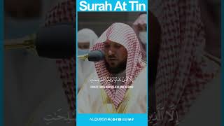 Surah At Tin - Sheikh Maher Al Muaiqly #AlQuran4K