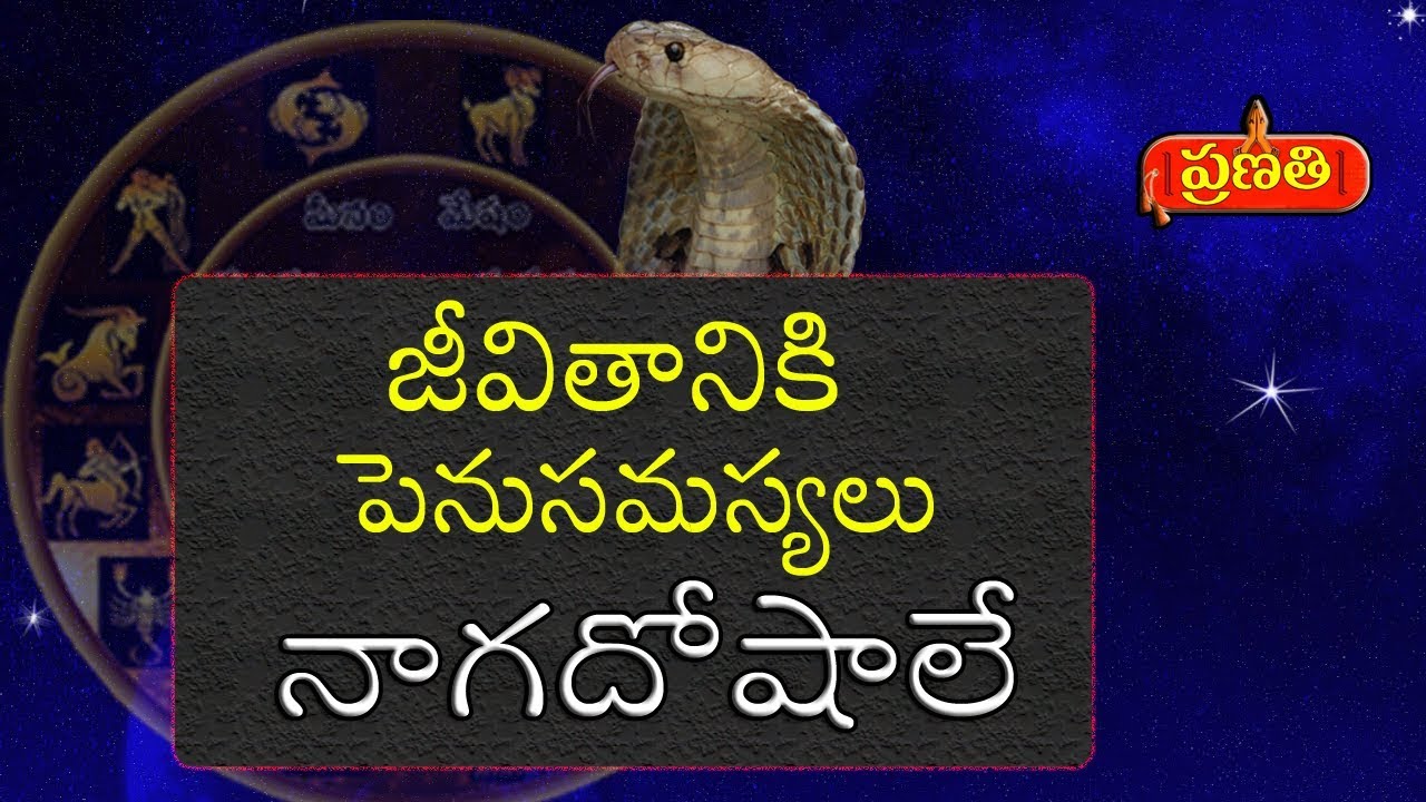 Negative impacts by Naga dosha on human life | నాగ దోషము వివరణ - part 1