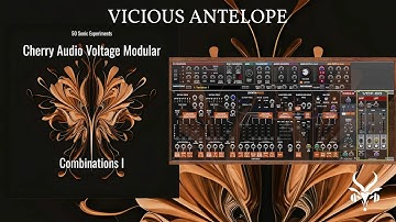 Voltage Modular Patches | Vicious Antelope - Combinations I