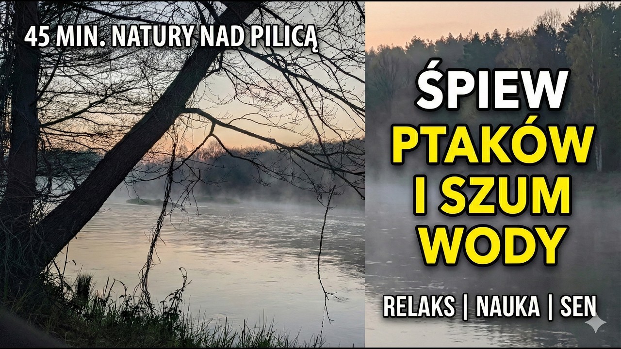 Relaxing River Sounds & Birdsong: Pilica River Sunrise 🌅 | Szum Rzeki i Śpiew Ptaków [45 min]