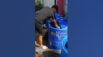 Nghề Bán Cá Lóc Nướng #shorts