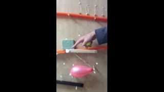Vince and Kyung Spring Fling Physics Honors Project