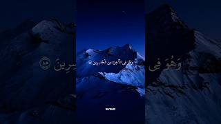 ومن يبتغ غير الإسلام دينا // القارئ أحمد العجمي 🎧💙