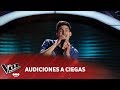 Mario Viluron -"Motivos" - Abel Pintos - Audiciones a Ciegas - La Voz Argentina 2018