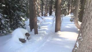 Mammoth March 2nd 2012