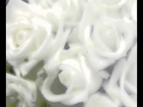 Romance De Amor khuc dao dau.mp4 - youtube