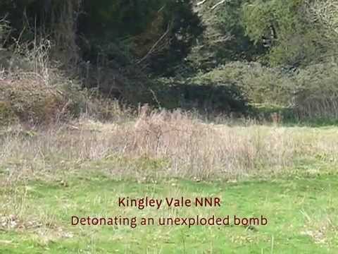 video phone beyonce mp3 Kingley Vale NNR - unexploded bomb