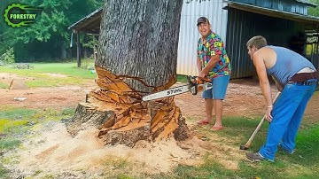 Idiots With Chainsaws: Tree Cutting Fails | Extreme Dangerous Logging Truck Fails #17