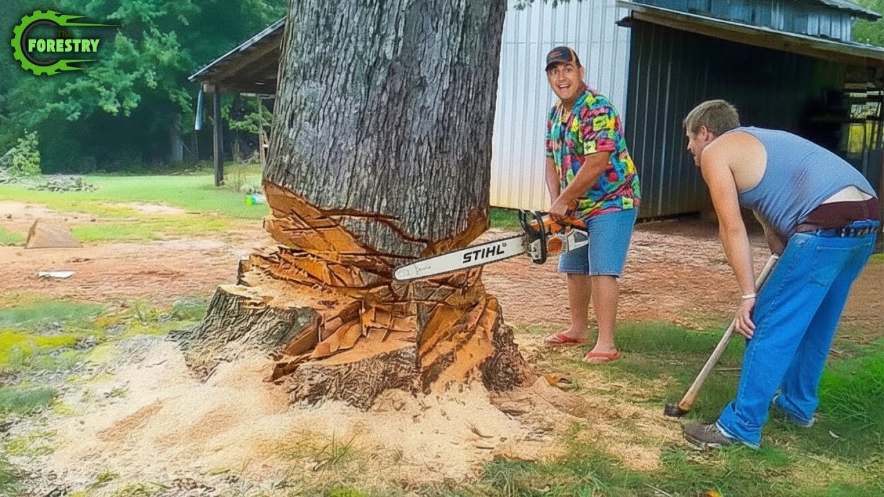Идиоты с бензопилами: неудачные попытки вырубки деревьев | Крайне опасные аварии с лесовозами #17