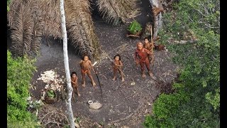 Uncontacted Amazonian tribe 'slaughtered by gold miners'