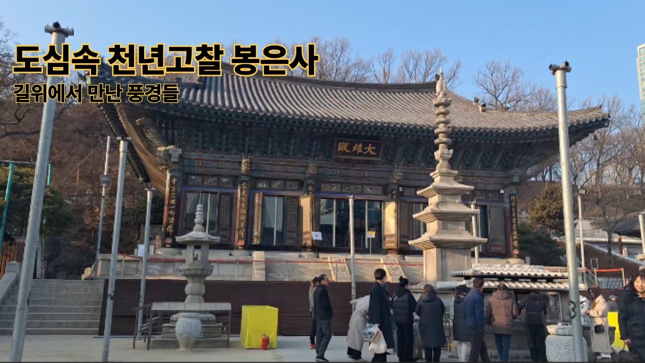 도시의 소음이 지워지는 곳, 강남 봉은사에서의 오후