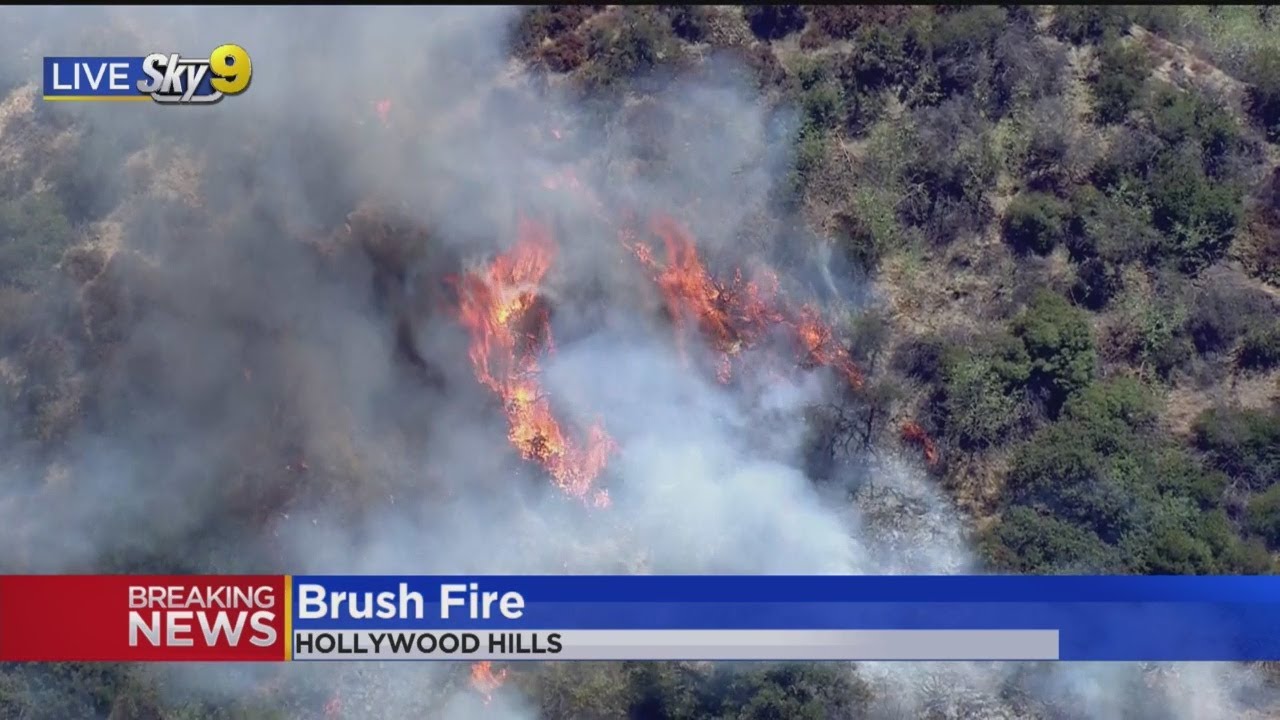 Brush Fire Erupts in Hollywood Hills - YouTube