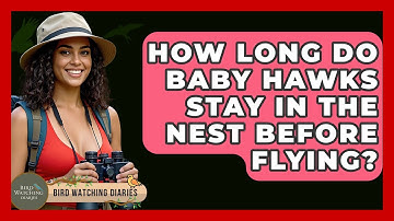How Long Do Baby Hawks Stay In The Nest Before Flying? - Bird Watching Diaries