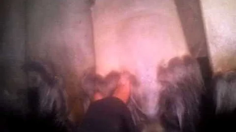 Catches of the 2013-2014 trapping season so far