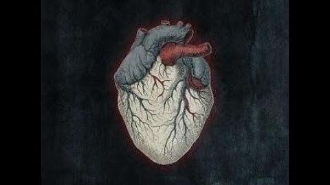 Alice In Chains - Lesson Learned (Live Roskilde) (Subtitulos)