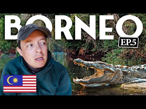 Video: De 10 beste plekken om te duiken in Borneo