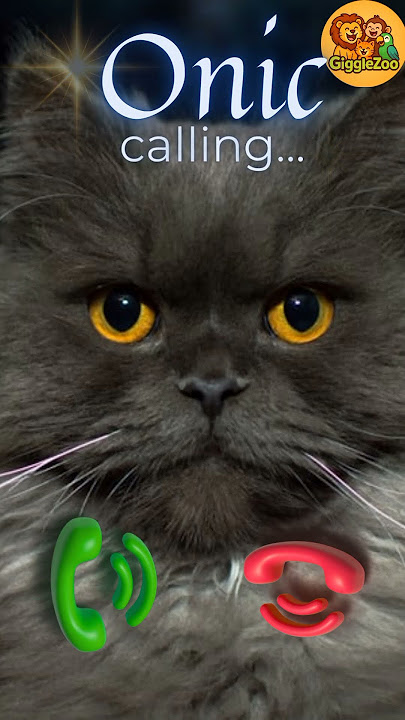 🐾ONIC CALLING!🐈 #viralvideokids #catshorts #funnycat #cutekitten #viralshorts #shortshumor #ringtone
