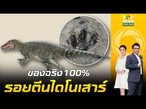 ของจริง 100% "กรมธรณี" ยืนยัน "รอยตีนไดโนเสาร์" อุดร เป็นกลุ่มเทอโรพอด กินเนื้อ อายุ 120ล้านปี