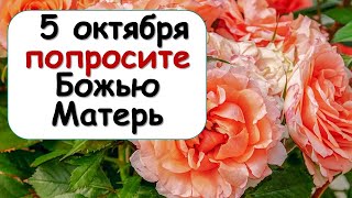 5 октября попросите обязательно Божью Матерь об этом | Эзотерика для Тебя