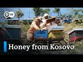 Kosovo: Organic honey from the mountains | Global Ideas