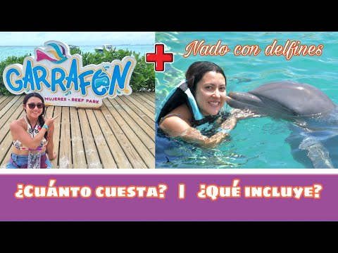 Nadando Con Delfines Y Parque Garrafón Desde Cancún A Isla Mujeres | ¿Cuánto Cuesta? ¿Qué Incluye?