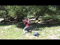 Steady Ed Chase Card Sunday Part 1 Commentary