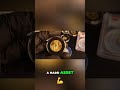 Why Gold is My SAVINGS Secret: Hard Asset Investing #shorts