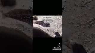 Pov: tu achète des poissons 100% haram #faitepercer #drole #poisson #haram #trend #abonnezvous