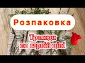 Троянди по супер ціні Перше замовлення троянд 2025 Новий продавець хороші враження