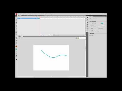 Overview of Adobe