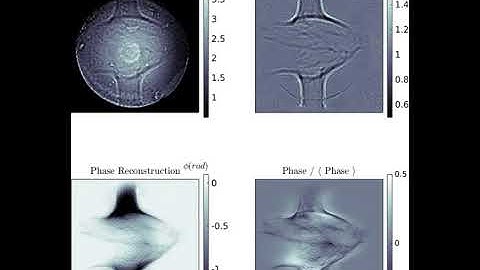 Single-pulse phase-contrast Imaging at FELs