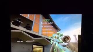Cryptic Clan Introduction