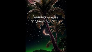 قرآن كريم، #اكسبلور #قرآن #تلاوة_خاشعة #لايك  سورة البقره، #المصحف