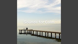 Celestial Streams (Relaxing Ambient Music)