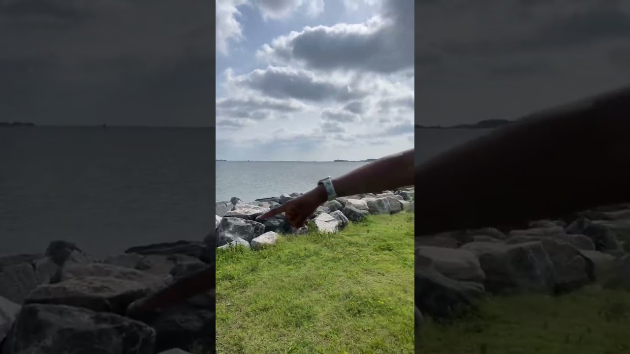 Kiddo version - he wanted to record and pick his own music