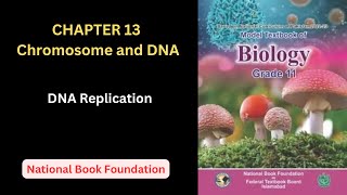 DNA Replication| Chapter 13| Class 11 Biology| National Book Foundation| New Book