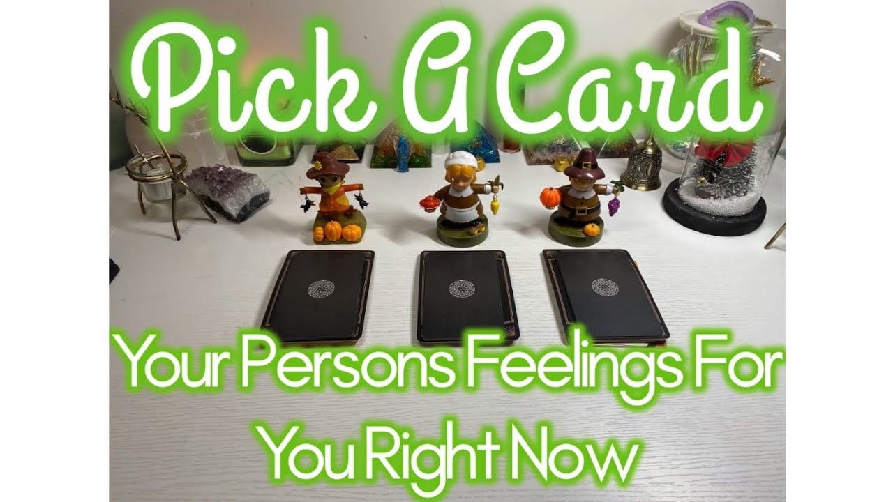 💌Pick A Card🔮 Your Persons Feelings Right Now 🤩🤭🧿😎🤯😬🥰🌪🌬🔥🙏🏽📥