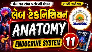Laboratory Technician | MCQ series | ANATOMY | Endocrine System | 108 જગ્યાઓ | GPSSB | Most Imp