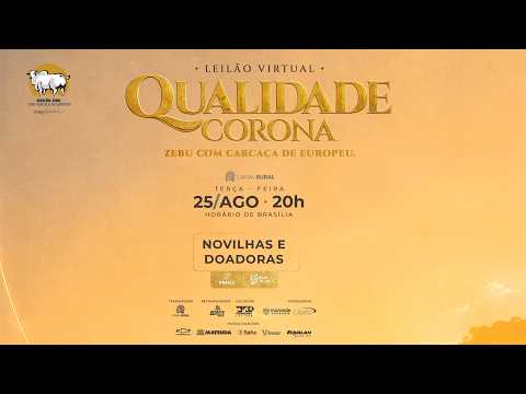 LOTE 01   COL 25277