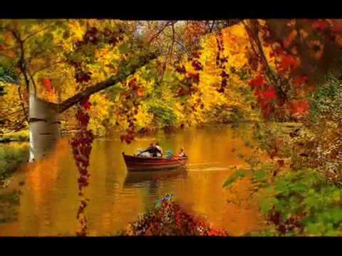 ფესვები