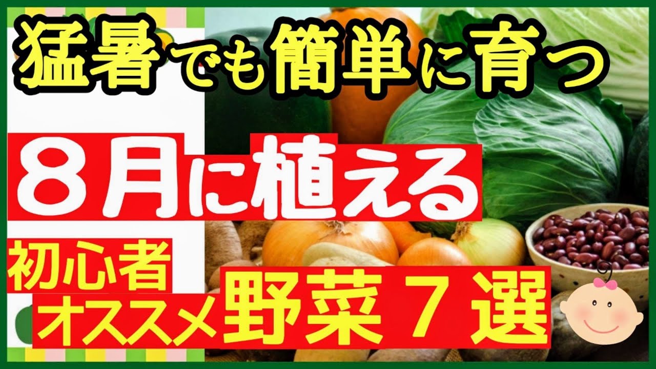 8月に植える！初心者でも手軽にプランターで栽培できるオススメ野菜7