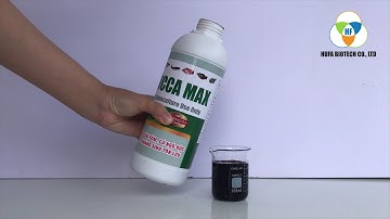 SIÊU PHẨM HẤP THỤ KHÍ ĐỘC CỰC NHANH YUCCA MAX - HUFACO.,LTD