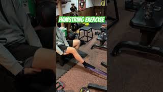 Beginner Hamstring Curl Variation