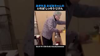 あきれるおばあちゃんのいればしっそうじけん